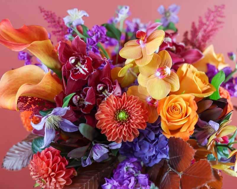 Daybreak arrangement